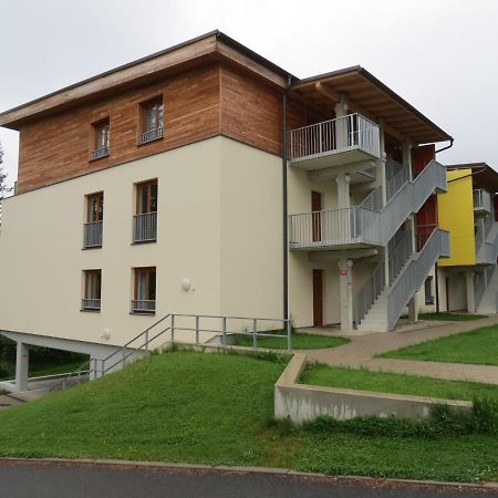 Family Apartment Lipno Lake 伏尔塔瓦河畔利普诺 外观 照片