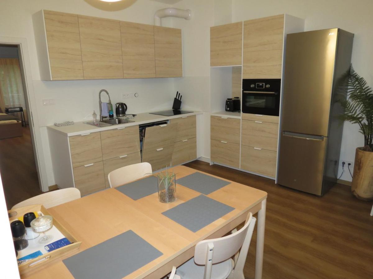 Family Apartment Lipno Lake 伏尔塔瓦河畔利普诺 外观 照片