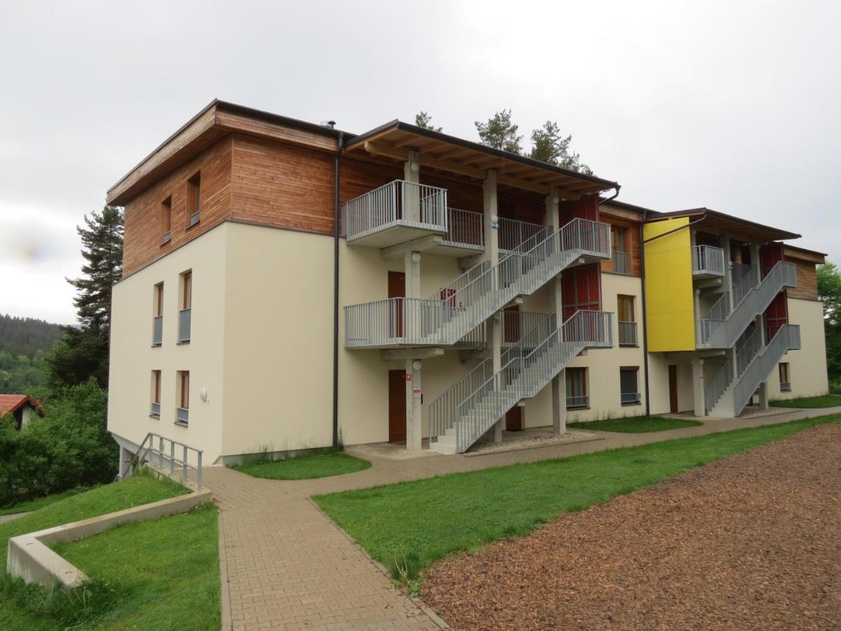 Family Apartment Lipno Lake 伏尔塔瓦河畔利普诺 外观 照片